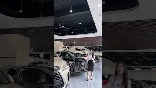 Mời các bác vào lựa xe đi du xuân ạ