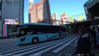 IRL Tokyo, Japan 🇯🇵 - Walking & Chatting