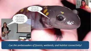 Getting the Word Out on Habitat Fragmentation: Let Salamanders Do the Talking