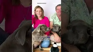 Peggy and Molly receive surprise visitor following magpie&rsquo;s return home | #shorts #yahooaustralia