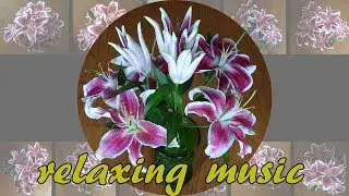 Field of Tears - Chris Spheeris, soothing music 8, sleep music, 心灵音乐