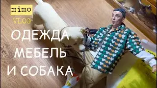 Очень реалистичная одежда, мебель и собака для кукол. Распаковка, ОБЗОР и ПРИМЕРКА