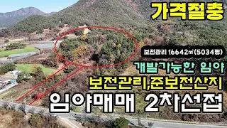 41113번 임야매매 4억5000만원 2차선도로 접한 밭같은 작은야산 보전관리지역  16642㎡(5034평) 준보전산지 개발가능한 임야 보은ic 20분 #보은부동산#충북부동산