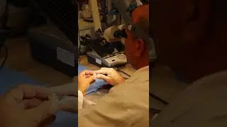 ASMR Sounds you hear at our Dental Lab🥼🔊🦷