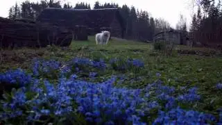 vanaema ja vanaisa maja