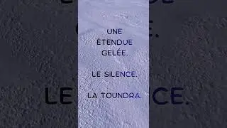 Un zoo n&eacute; dans le froid
