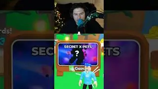 NEW SECRET X PETS COMING TO TAP SIMULATOR&hellip; #roblox