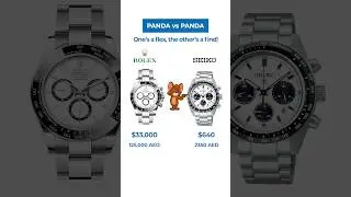 Rolex Panda vs Seiko Panda