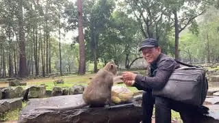 Consoling monkey Rainbow to kiss her mom Rose | Searching the missing monkeys after heavy storm rain