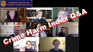 Crime Harm Index & changes in crimes during the pandemic, especially domestic abuse