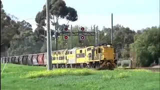 602 GM22 GM27 44206 44204 on SSR Grain  9733V  in manor