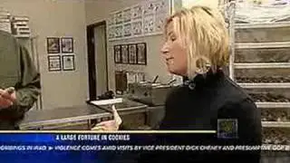 Expressive Fortunes - A Fortune In Fortune Cookies