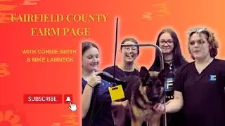 Dog Grooming and Operation Easter Basket #fairfieldcountyfarmpage #doggrooming