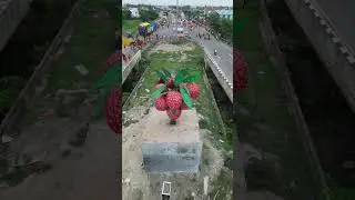Shahi litchi statue in Muzaffarpur #litchi #famous #muzaffarpur #videos #viral #shorts #bihar