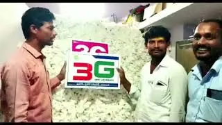 3G cotton seeds