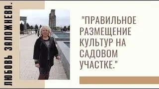 Правильное размещение культур на садовом участке.