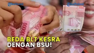 BLT RP900 RIBU MULAI CAIR❗ INI BEDANYA DENGAN BSU