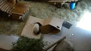 Record 2016 09 05 大紙箱