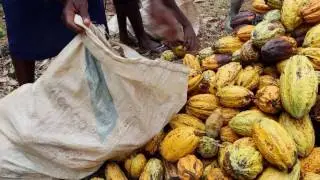 Millennium Villages Project - GHANA