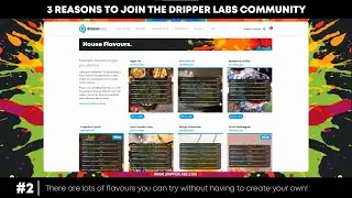 3 Reasons to Join the Dripper Labs Community | Reason #2