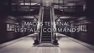 macOS Terminal - How to list all commands