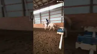 She&rsquo;s been legit😝😝😻😻❤️❤️🐎🐴 #equestrian #horse #edit #pony