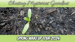 Spring Garden Wake Up Tour 2024