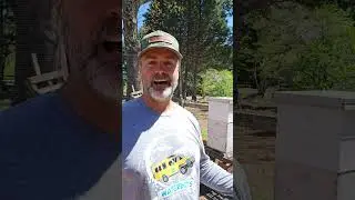 Demaree Split time for my honeybees!