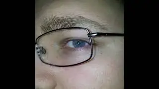 Paul Maximus Live Stream
