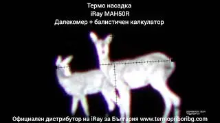 Термо насадка iRay MATE MAH50R разпознава рога на сръндак има далекомер + балистичен калкулатор
