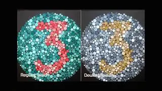 How the colorblind people see the world