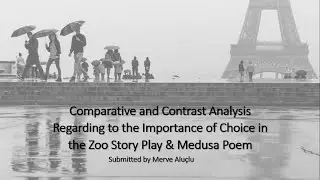 Comparative and Contrast Analysis Regarding the Importance of Choice in the Zoo Story & Medusa Poem