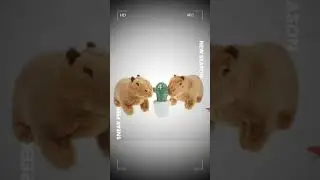 Unveiling the Adorable 18cm Fluffy Capybara Plush Toy