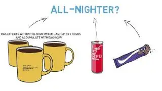 The Science of Sleep and Caffeine