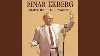 &Ouml;gonblicket och evigheten