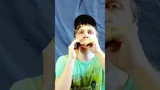 JDR Assassin и FJORD 700 NM #harmonica @Chernoslav  @HarpAttack
