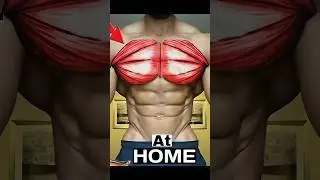 Push Up | Chest Workouts ✅💪 #shorts #usa #unitedstates #usaworkout