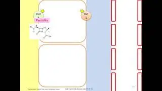 BIO 272 Urinary system urine formation part 2