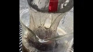 Sodium Hydroxide & Coke! Redox Reaction in RamZland! 2Al + 2NaOH + 2H2O &rarr; 2NaAlO2 + 3H