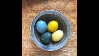 Botanically Dyed Easter Eggs