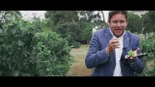 James Martin presents his Signature Chef white wine