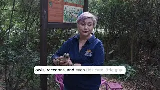 Minute with the City Historian - Sawgrass Nature Center!