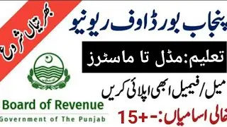 Board Of Revenue Punjab Jobs 2022 | BOR Punjab Jobs 2022
