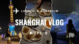 Walking through Lujiazui & Shanghai Aquarium | Vlog 