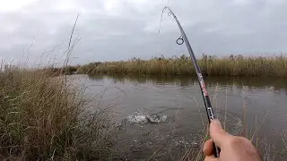 Bank Fishing With Gold Spoons For Red Fish