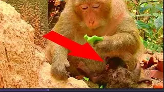 Wonder ! why does new born baby  do like this 