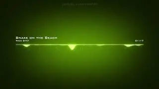 Nico Staf | Snake on the Beach
