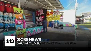 Almond Blossom Festival underway this weekend in Ripon