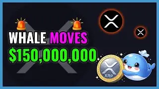 XRP Whale Just Moved $150,000,000!🚨WHALE ALERT