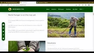 Reasons why the Avocado Coin will be so valuable